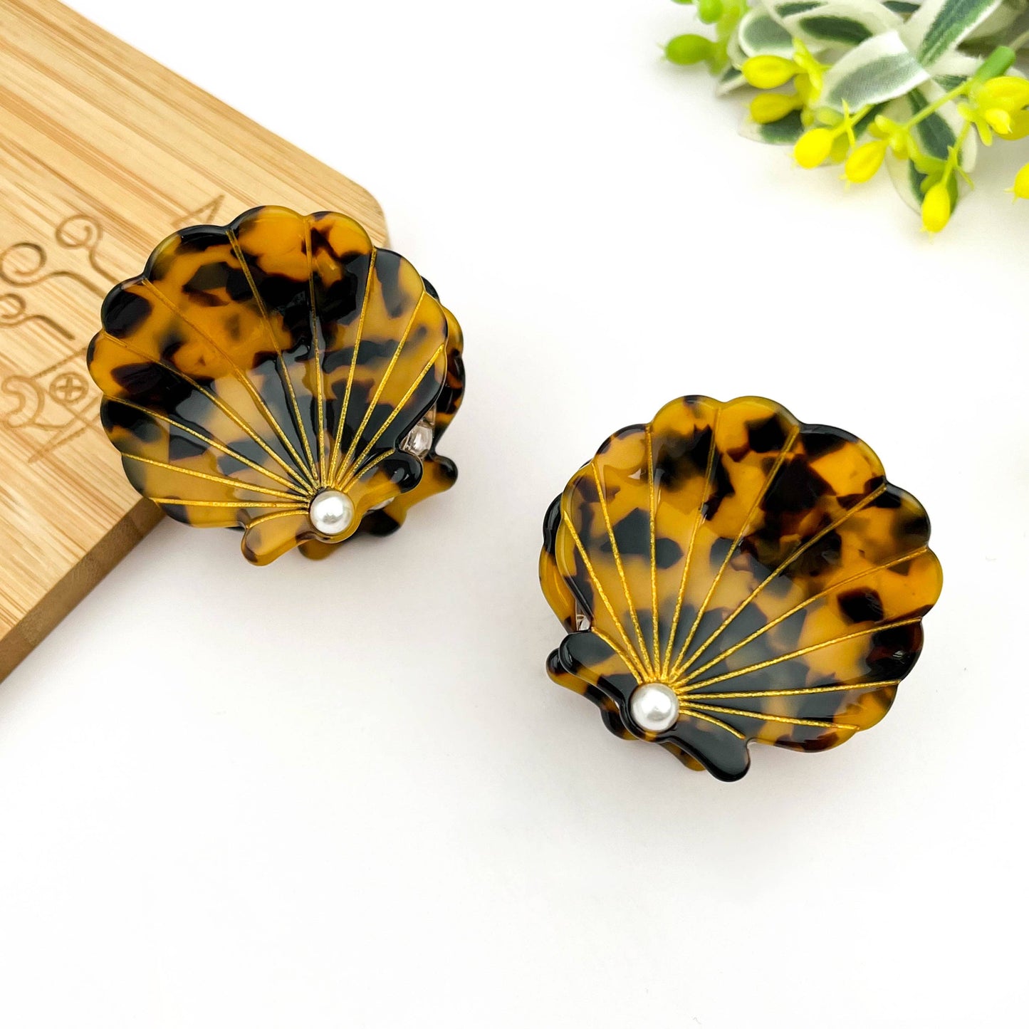 Pince Shell