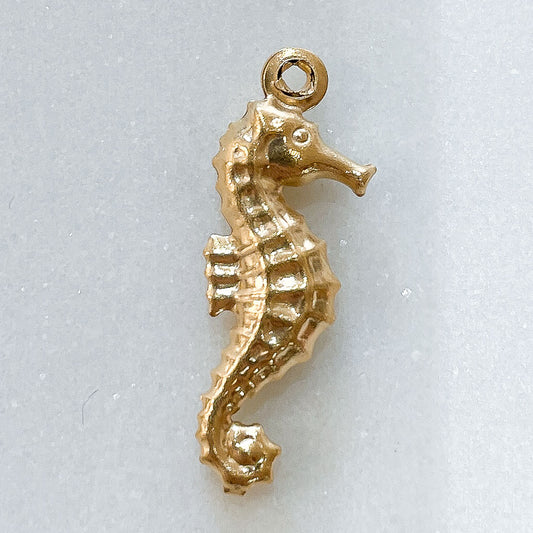Charms Hippocampe