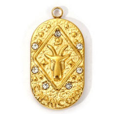 Charms médaille Capricorne Astro Strass Blanc
