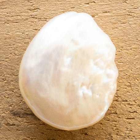 Charms Perle d'eau douce Cercle plat